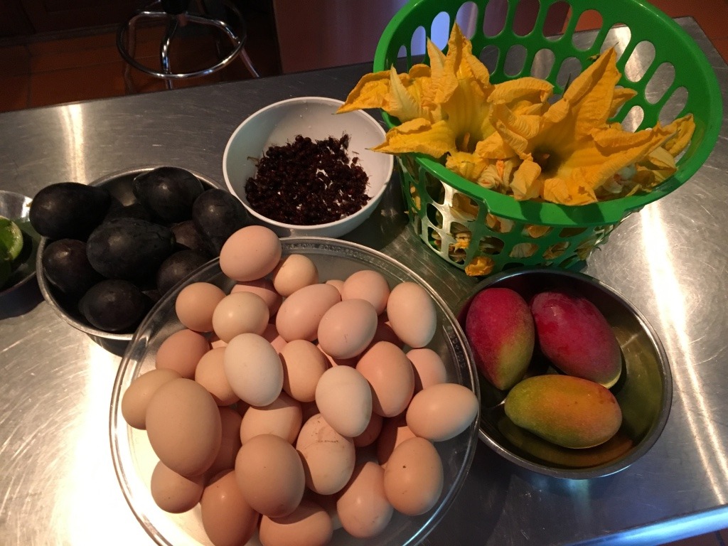 SEMINAR: Agriculture, Food Systems, Culinary Science, and Cultural Heritage in Mexico 4 food prep