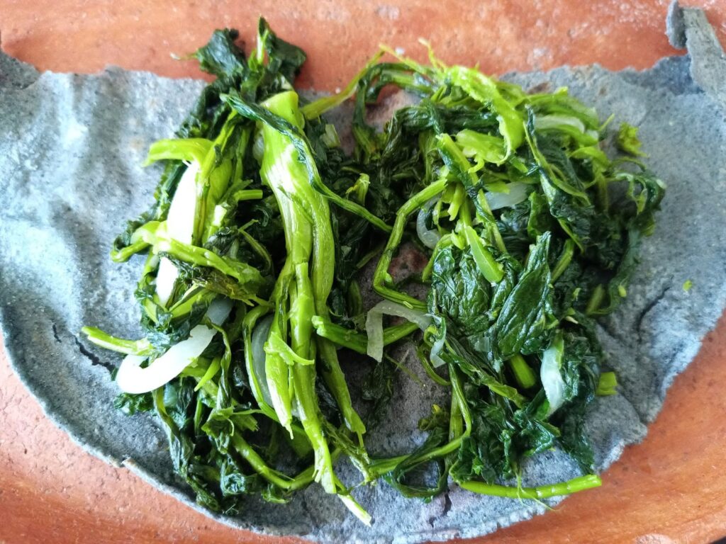 SEMINAR: Agriculture, Food Systems, Culinary Science, and Cultural Heritage in Mexico 1 greens